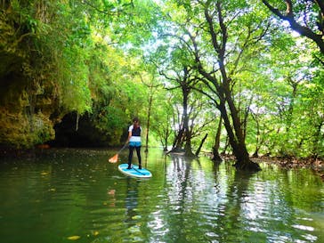 石垣島 ADVENTURE PiPi（イシガキジマアドベンチャーピピ）に投稿された画像（2022/10/3）