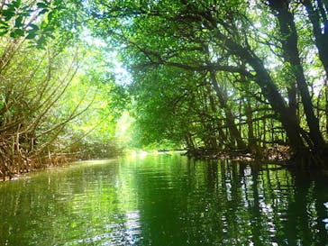 石垣島 ADVENTURE PiPi（イシガキジマアドベンチャーピピ）に投稿された画像（2022/10/3）