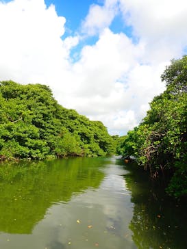 石垣島 ADVENTURE PiPi（イシガキジマアドベンチャーピピ）に投稿された画像（2022/10/3）