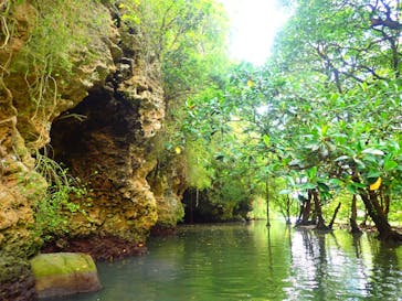 石垣島 ADVENTURE PiPi（イシガキジマアドベンチャーピピ）に投稿された画像（2022/10/3）