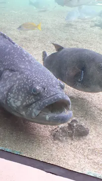 横浜・八景島シーパラダイスに投稿された画像（2022/10/4）