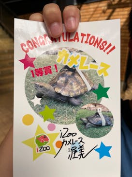 体感型動物園iZooに投稿された画像（2022/10/4）