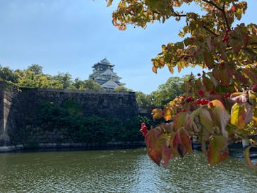 大阪城天守閣に投稿された画像（2022/10/3）