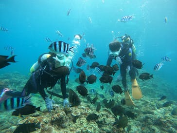 沖縄マリンサービス碧に投稿された画像（2022/10/4）