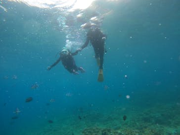 沖縄マリンサービス碧に投稿された画像（2022/10/4）