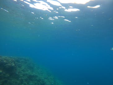 沖縄マリンサービス碧に投稿された画像（2022/10/4）