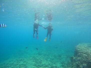 沖縄マリンサービス碧に投稿された画像（2022/10/4）