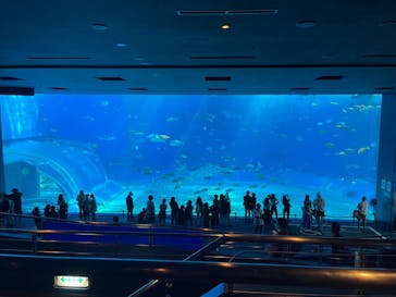 沖縄美ら海水族館に投稿された画像（2022/10/4）