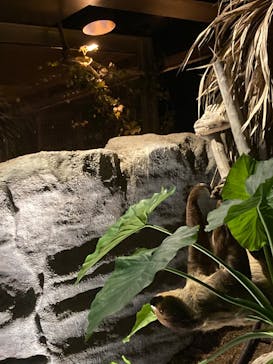 カワスイ 川崎⽔族館に投稿された画像（2022/10/4）