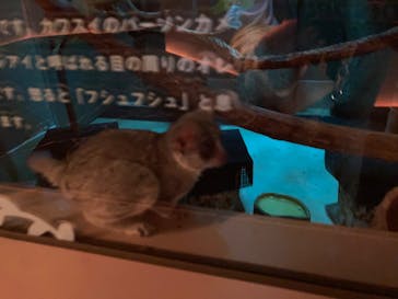 カワスイ 川崎⽔族館に投稿された画像（2022/10/4）