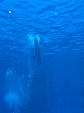 名古屋港水族館に投稿された画像（2022/10/4）