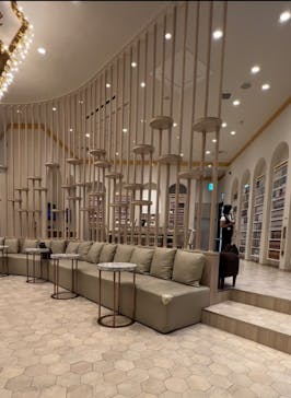 猫カフェモカ　イオンモール幕張新都心店に投稿された画像（2022/10/4）