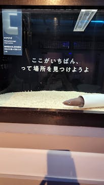 横浜開運水族館 フォーチュンアクアリウムに投稿された画像（2022/10/4）