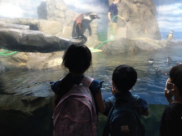 新江ノ島水族館に投稿された画像（2022/10/4）