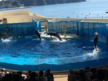 新江ノ島水族館に投稿された画像（2022/10/4）