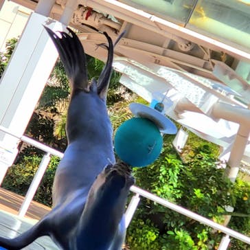 サンシャイン水族館に投稿された画像（2022/10/4）