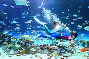サンシャイン水族館に投稿された画像（2022/10/4）