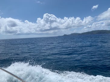 アルファダイブ沖縄に投稿された画像（2022/10/5）