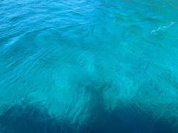 アルファダイブ沖縄に投稿された画像（2022/10/5）