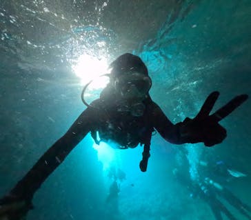 DIVING-SHOP SUNSに投稿された画像（2022/10/5）