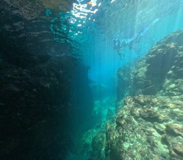 DIVING-SHOP SUNSに投稿された画像（2022/10/5）