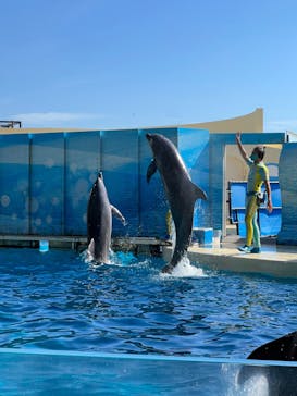 新江ノ島水族館に投稿された画像（2022/10/5）
