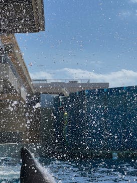 新江ノ島水族館に投稿された画像（2022/10/5）