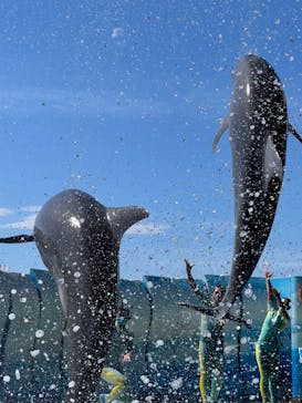 新江ノ島水族館に投稿された画像（2022/10/5）