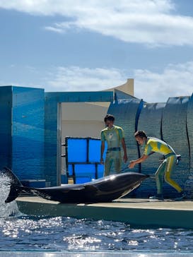 新江ノ島水族館に投稿された画像（2022/10/5）