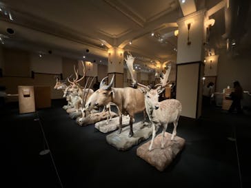 国立科学博物館に投稿された画像（2022/10/5）