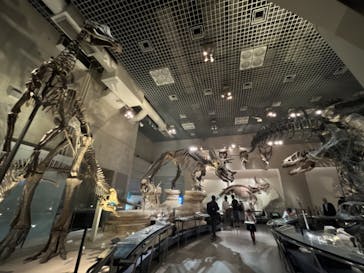 国立科学博物館に投稿された画像（2022/10/5）