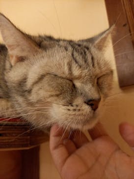 ワールド牧場に投稿された画像（2022/10/5）