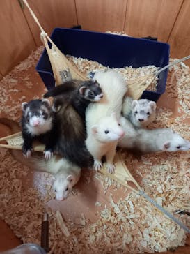 ワールド牧場に投稿された画像（2022/10/5）