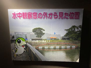 サケのふるさと 千歳水族館に投稿された画像（2022/10/5）