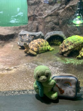 サンシャイン水族館に投稿された画像（2022/10/5）