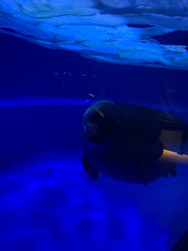 サンシャイン水族館に投稿された画像（2022/10/5）