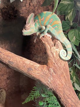 島根県立 しまね海洋館に投稿された画像（2022/10/5）