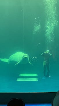 島根県立 しまね海洋館に投稿された画像（2022/10/5）