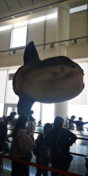 アクアワールド茨城県大洗水族館に投稿された画像（2022/10/5）