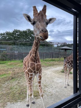 那須サファリパークに投稿された画像（2022/10/5）