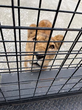 那須サファリパークに投稿された画像（2022/10/5）