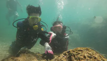 武藤潜水に投稿された画像（2022/10/6）