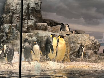 名古屋港水族館に投稿された画像（2022/10/6）