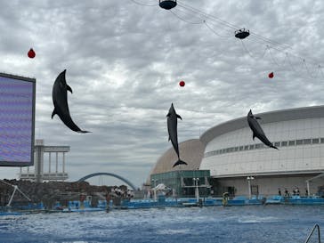 名古屋港水族館に投稿された画像（2022/10/6）