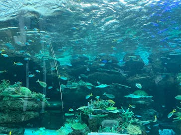名古屋港水族館に投稿された画像（2022/10/6）