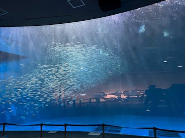 名古屋港水族館に投稿された画像（2022/10/6）