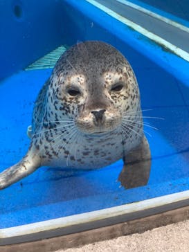 島根県立 しまね海洋館に投稿された画像（2022/10/6）