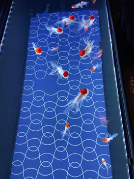 すみだ水族館に投稿された画像（2022/10/6）