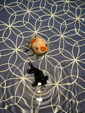 すみだ水族館に投稿された画像（2022/10/6）