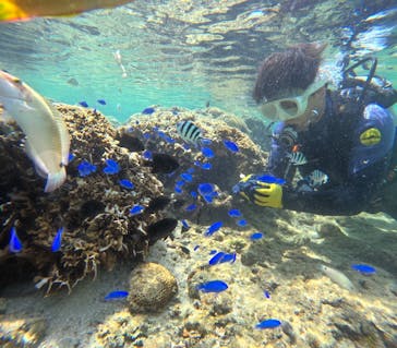 DIVING-SHOP SUNSに投稿された画像（2022/10/6）